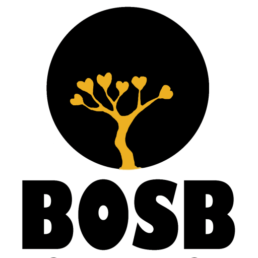 cropped-cropped-bosb-foundation-smaller1.png